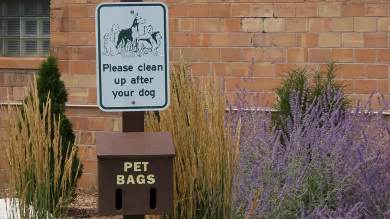 Aranda de Duero ayuda a limpiar los paseos con mascotas