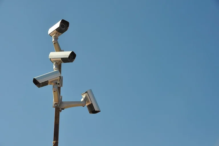 El control del tráfico llega a más zonas de Estepona