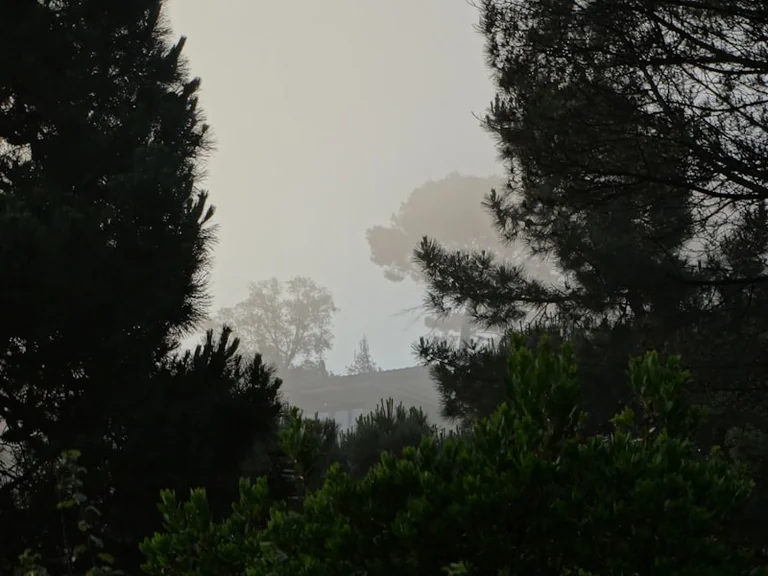 España, 27 de agosto: revise calor, tormentas e incendios