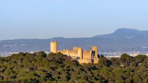 Castillo medieval de piedra situado en lo alto de una colina rodeada de árboles