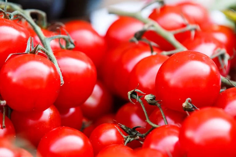 La Tomatina 2026: guía para evitar contratiempos en Buñol