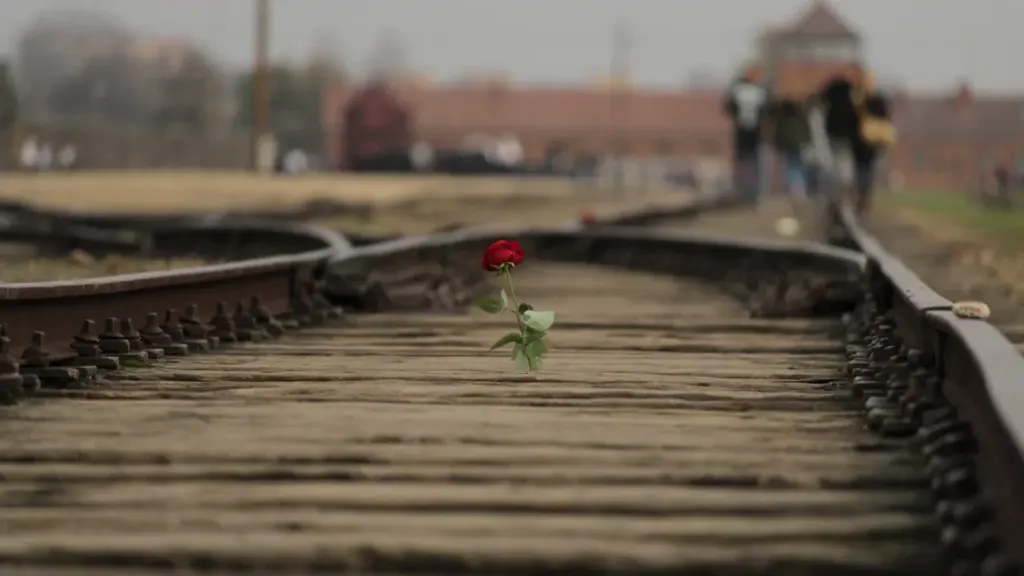 Una rosa roja solitaria sobre las vías del tren en el memorial de Auschwitz.