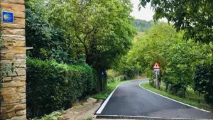 Una carretera sinuosa rodeada de vegetación con la señal icónica del Camino de Santiago.