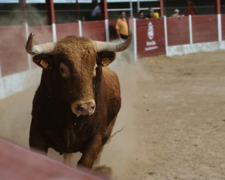 Pintura y toros se citan en Murcia el 10 de septiembre