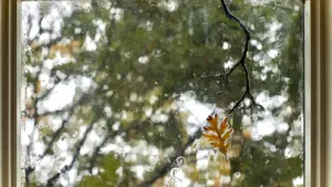 Soñar con lluvia: emociones y cambios al comenzar el otoño