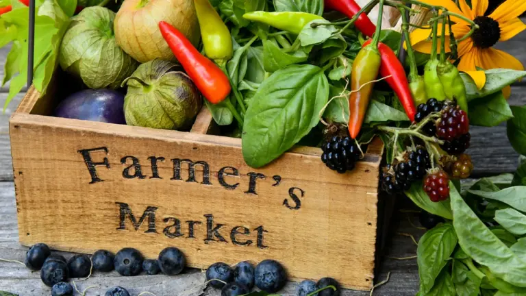 Día Mundial de la Alimentación: del campo a la mesa