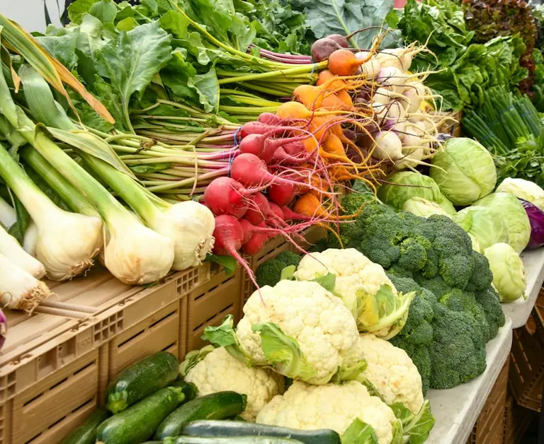 Día Mundial de la Alimentación: del campo a la mesa
