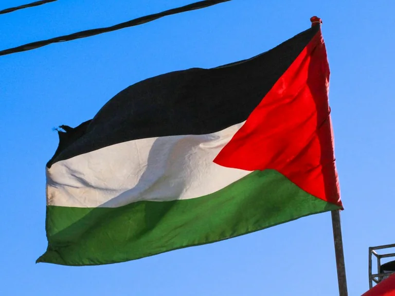 Qué pidió la Resolución 106 de la ONU sobre Palestina