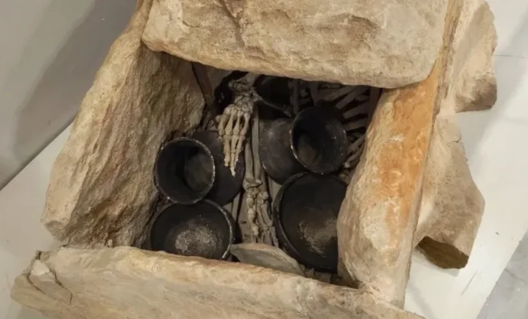 Suspendida en Murcia la visita sobre ritos funerarios del 30 de octubre